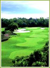 Sarasota Florida golf homes