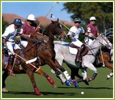 Sarasota Polo Club, Lakewood Ranch