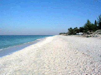casey key real estate