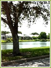 braden river lakes, bradenton fl real estate